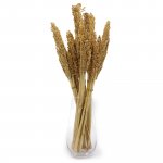 (image for) Cantal Grass Bunch - Natural