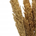 (image for) Cantal Grass Bunch - Natural