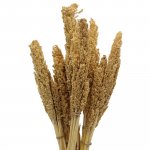 (image for) Cantal Grass Bunch - Natural