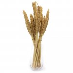 (image for) Cantal Grass Bunch - Natural