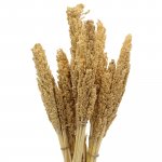 (image for) Cantal Grass Bunch - Natural