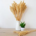 (image for) Cantal Grass Bunch - Natural