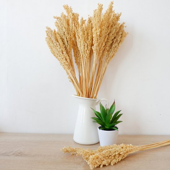 (image for) Cantal Grass Bunch - Natural