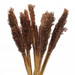 (image for) Cantal Grass Bunch - Chocolate