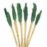 (image for) Cantal Grass Bunch - Teal