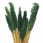 (image for) Cantal Grass Bunch - Teal