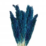 (image for) Cantal Grass Bunch - Blue