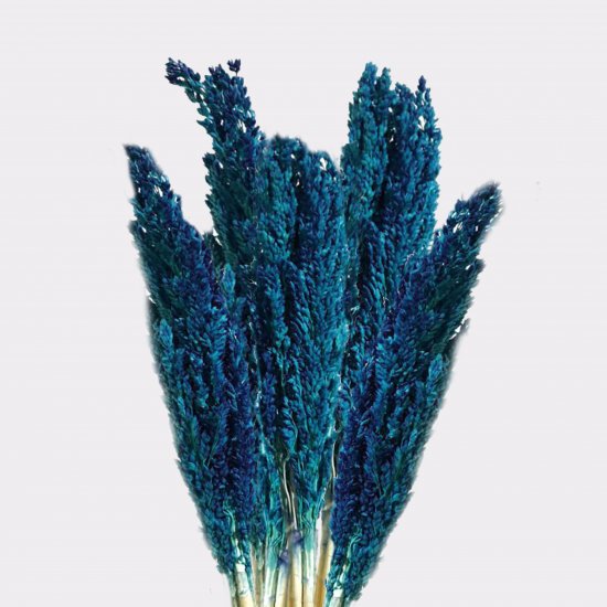 (image for) Cantal Grass Bunch - Blue