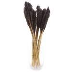 (image for) Cantal Grass Bunch - Black