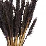 (image for) Cantal Grass Bunch - Black