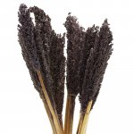 (image for) Cantal Grass Bunch - Black