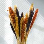 (image for) Cantal Grass Bunch - Black
