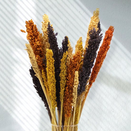 (image for) Cantal Grass Bunch - Black