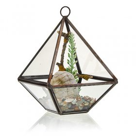 Glass Terrarium - Small Diamond Glass Terrarium - Small Diamond