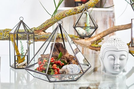 (image for) Glass Terrarium - Small Diamond