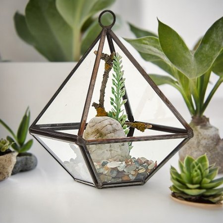 (image for) Glass Terrarium - Small Diamond