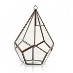 (image for) Glass Terrarium - Large Pentagon