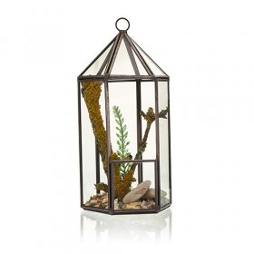 Glass Terrarium - Lantern Shape Glass Terrarium - Lantern Shape