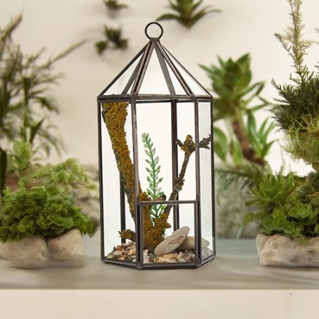 (image for) Glass Terrarium - Lantern Shape