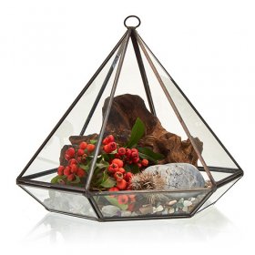 Glass Terrarium - Large Diamond Glass Terrarium - Large Diamond