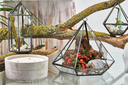 (image for) Glass Terrarium - Large Diamond
