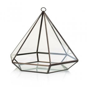 Glass Terrarium - Large Diamond Glass Terrarium - Large Diamond