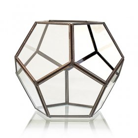 Glass Terrarium - Large Octagon Glass Terrarium - Large Octagon