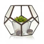 (image for) Glass Terrarium - Large Octagon