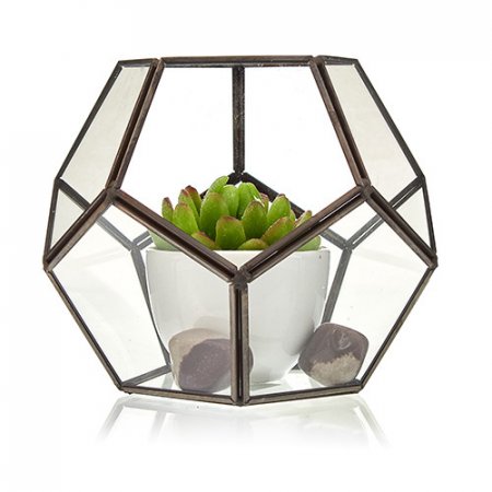 (image for) Glass Terrarium - Large Octagon
