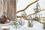 (image for) Glass Terrarium - Large Octagon