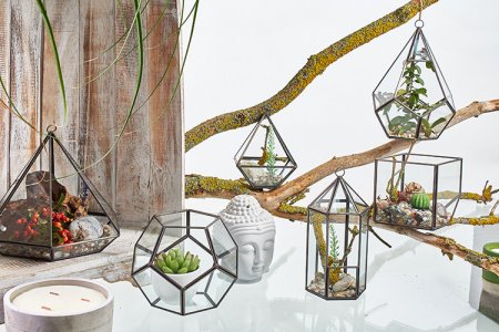 (image for) Glass Terrarium - Large Octagon