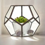 (image for) Glass Terrarium - Large Octagon