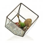 (image for) Glass Terrarium - Cube on Corner
