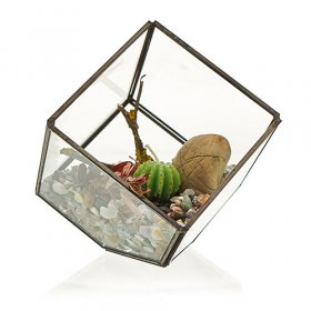 Glass Terrarium - Cube on Corner Glass Terrarium - Cube on Corner