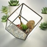 (image for) Glass Terrarium - Cube on Corner