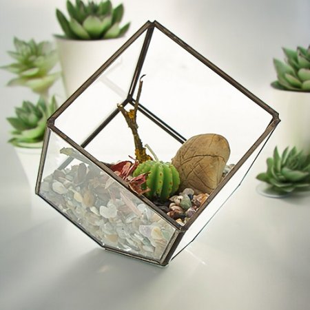 (image for) Glass Terrarium - Cube on Corner