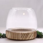 (image for) Small Terrarium on Natural Tung Wood