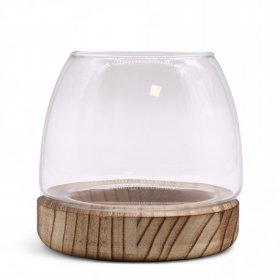 Small Terrarium on Natural Tung Wood Small Terrarium on Natural Tung Wood