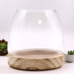 (image for) Medium Terrarium on Natural Tung Wood