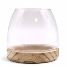 Medium Terrarium on Natural Tung Wood Medium Terrarium on Natural Tung Wood