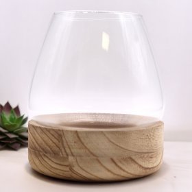 Large Terrarium on Natural Tung Wood Large Terrarium on Natural Tung Wood