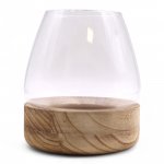 (image for) Large Terrarium on Natural Tung Wood