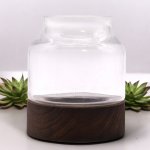 (image for) Small Shaped Terrarium on Dark Tung Wood