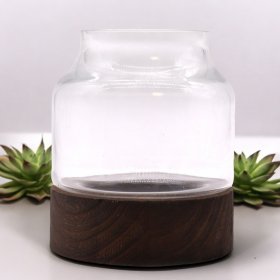 Small Shaped Terrarium on Dark Tung Wood Small Shaped Terrarium on Dark Tung Wood