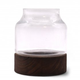 Small Shaped Terrarium on Dark Tung Wood Small Shaped Terrarium on Dark Tung Wood