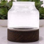 (image for) Medium Shaped Terrarium on Dark Tung Wood