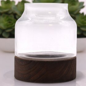 Medium Shaped Terrarium on Dark Tung Wood Medium Shaped Terrarium on Dark Tung Wood