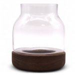 (image for) Medium Shaped Terrarium on Dark Tung Wood