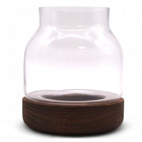 Medium Shaped Terrarium on Dark Tung Wood Medium Shaped Terrarium on Dark Tung Wood
