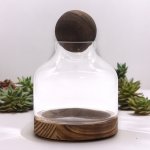 (image for) Medium Ball Top Terrarium on Dark Tung Wood